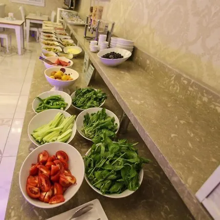 Hotel Sahiner
